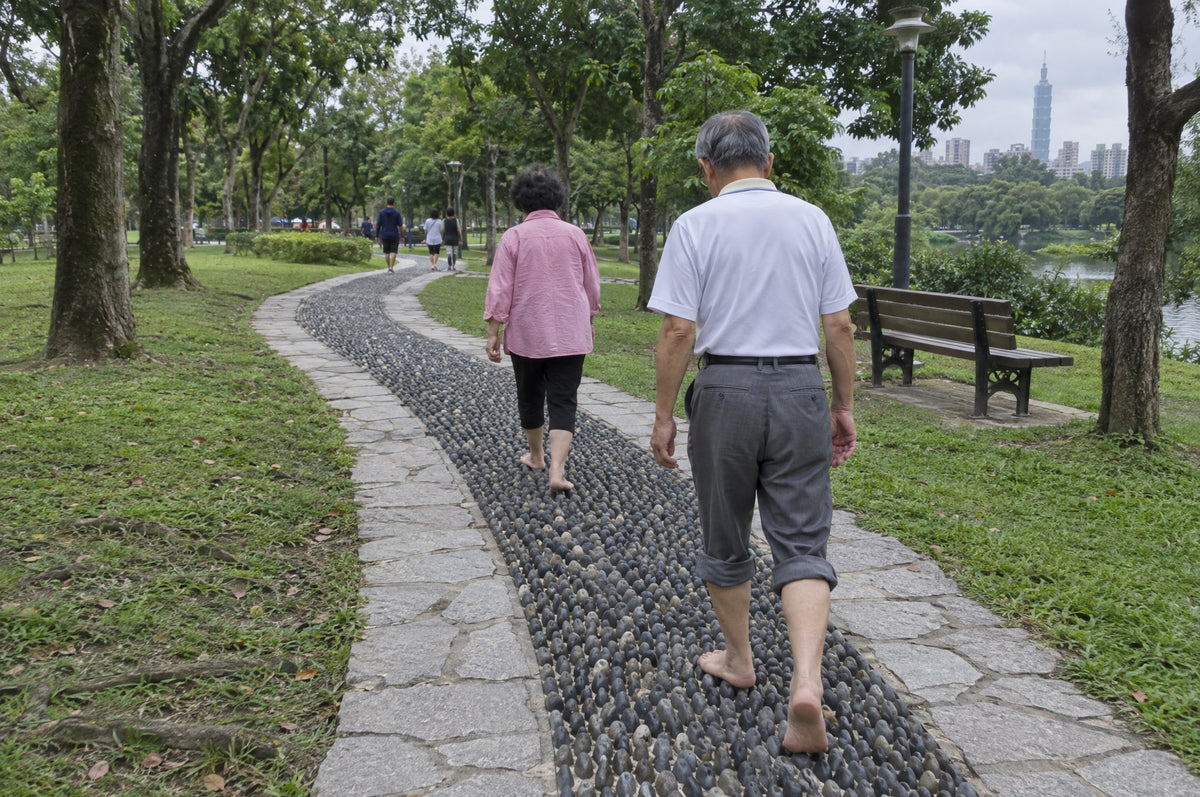 wh-plantra-asia-park-1.jpg